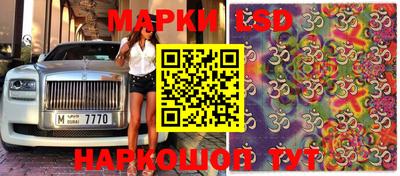 винт Дубна
