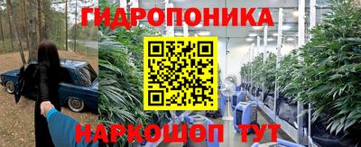 винт Дубна