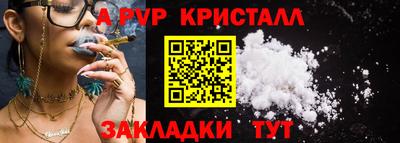прущие крисы Донской