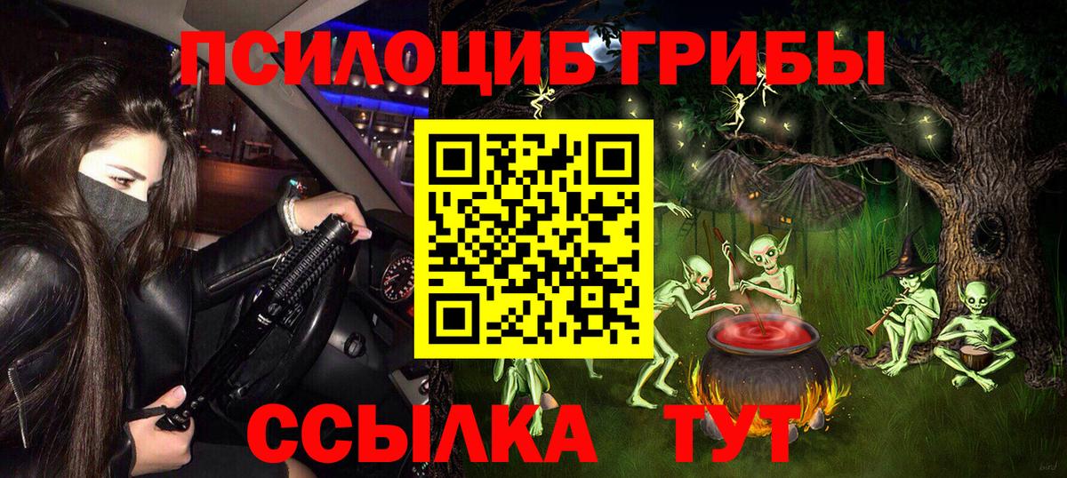 Псилоцибиновые грибы прущие грибы Михайловск
