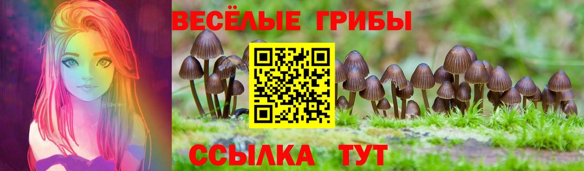 Галлюциногенные грибы Magic Shrooms  Вход с VPN  Михайловск 